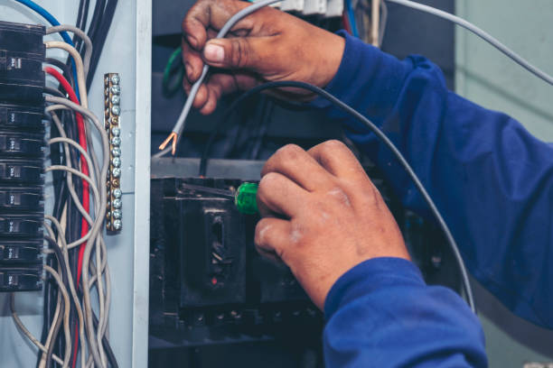 Best Local Electrician Companies  in Morrisville, NY